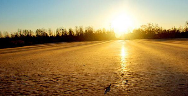 1547515742558378.jpg 配图3 IT培训开头的重要性.jpg