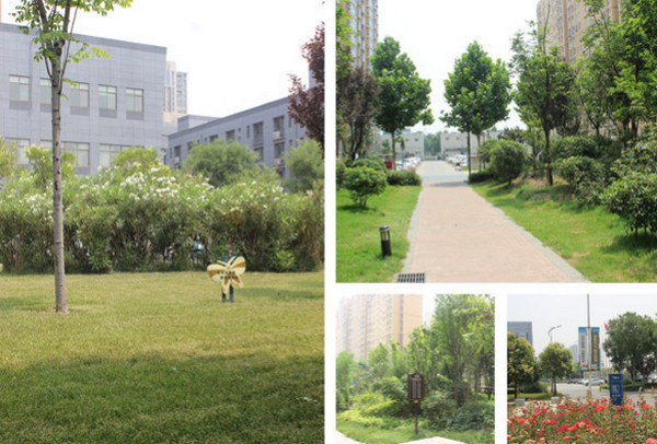 1566460822560205.jpg 配图1 云和教育宿舍怎么样?云和数据学员住宿环境大揭秘.jpg